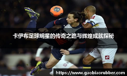 卡伊布足球明星的传奇之路与辉煌成就探秘