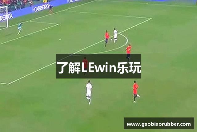 了解LEwin乐玩